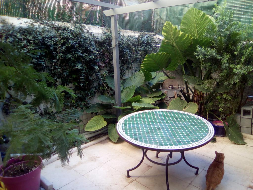 טולון Chambres Et Table D'Hotes Le Jardin De Tesse מראה חיצוני תמונה